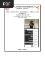 Physics Practical Report Guidelines | PDF