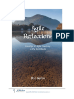 Agile Reflections For Agile Coaches