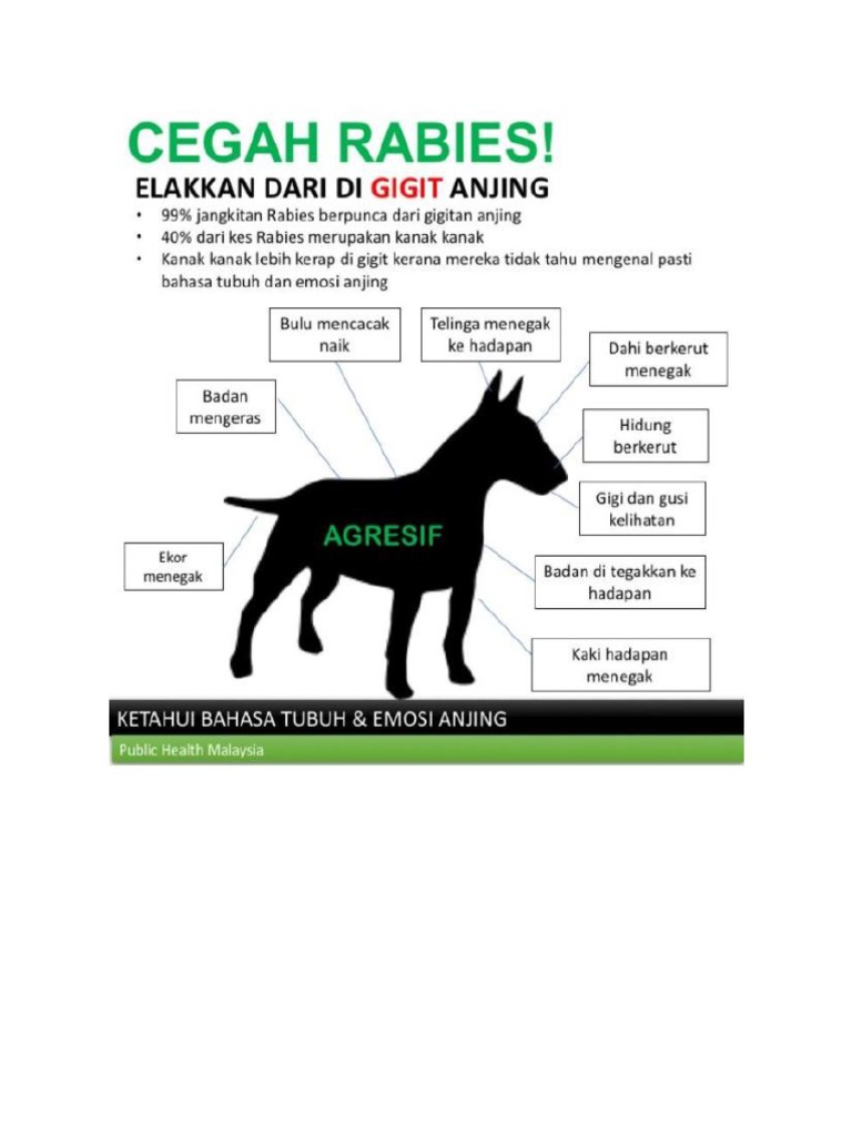 Info Kesihatan Docx
