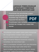 Langkah-Langkah Pemeliharaan Dan Pemuliharaan Tumbuhan Semula Jadi Dan