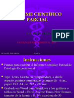 P.E. Informe Cientfico Parcial 2010