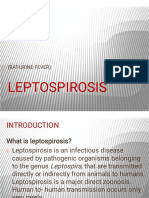 Leptosirosis