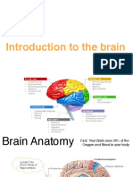 Introduction to the Brain