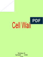 Cell Wall - PPT Lec 3