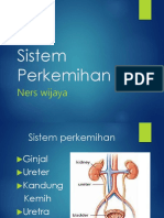 Sistem Perkemihan