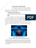 LP 6. Aparatul Cardio Circulator