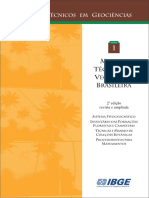 manual tecnico vegetaçao ibge.pdf
