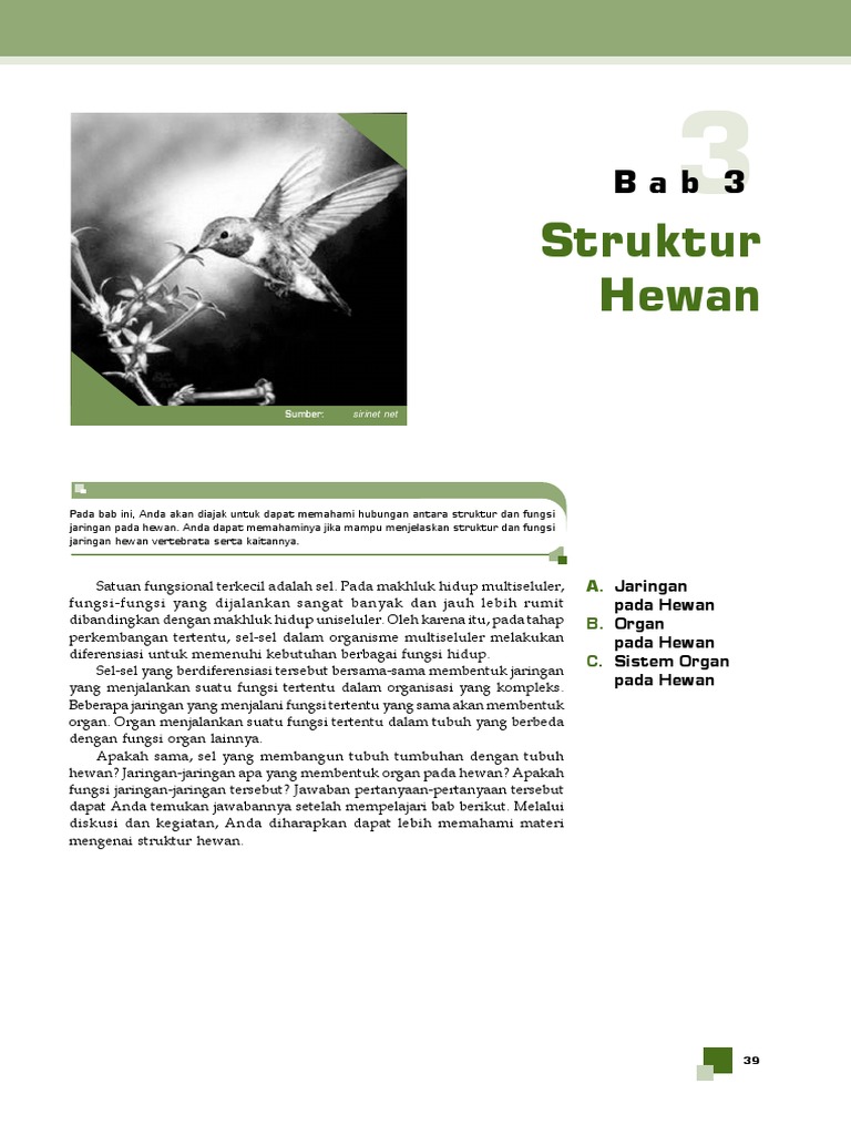 7400 Gambar Gambar Hewan Pdf HD Terbaik