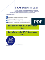 Por Qué SAP Business One