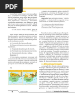 Pioneirismo 