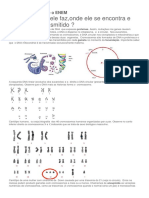 Genética Molecular e o ENEM