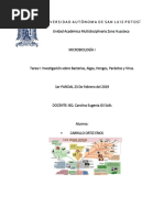 Tarea 1, Grupos Microbianos