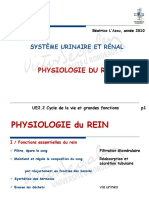 Béatrice l Azou, Année 2010 Système Urinaire Et Rénal Physiologie Du Rein. Ue2.2 Cycle de La Vie Et Grandes Fonctions