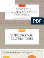 Presentaci+ N Power Point - Subsidios Por Maternidad, Paternidad, Adopci+ N y Cuidados