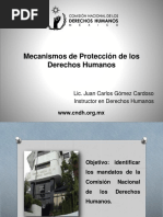 Mecanismos Protección DD HH