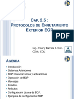 UPS Redes II Cap 2.5 BGP-v2.pdf