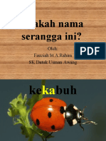 Apakah Nama Serangga Ini