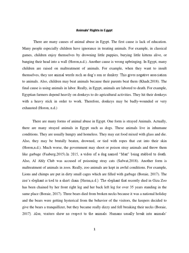 essay on animal rights