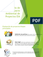 Estudio de Impacto Ambiental de Proyectos EIA