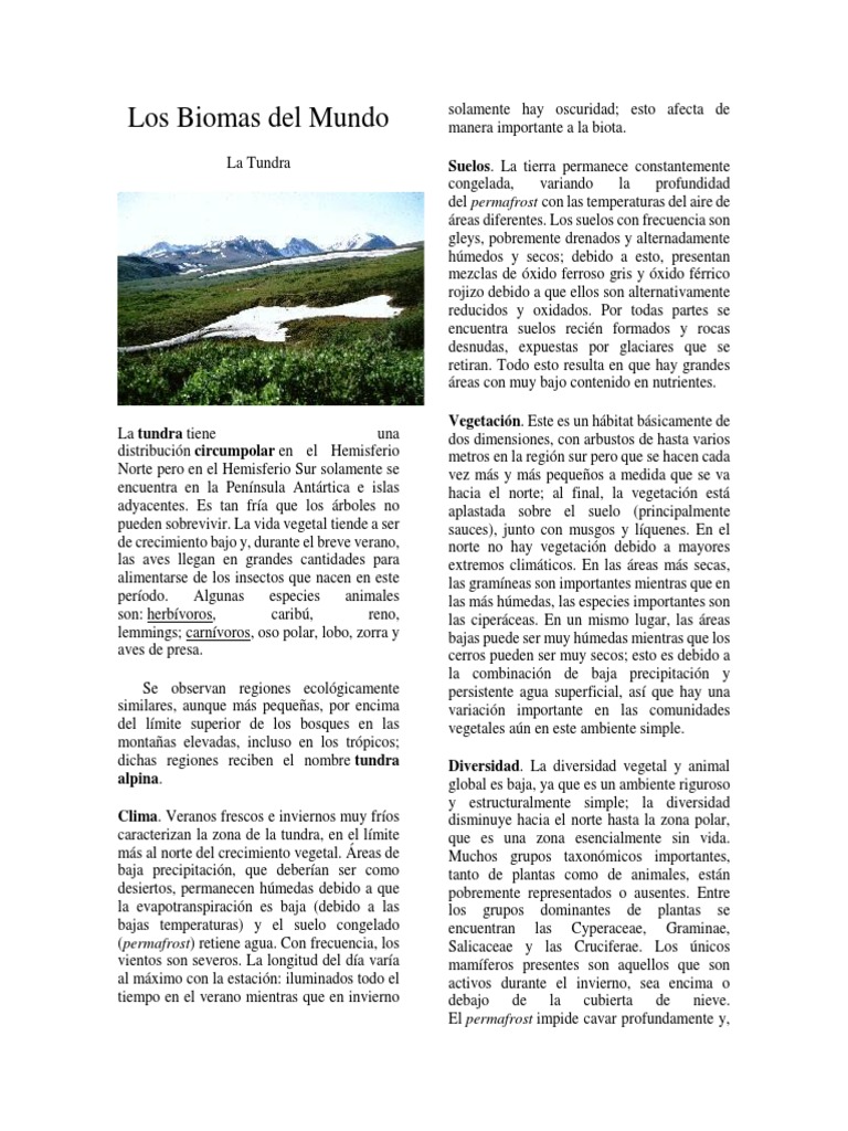Biomas de Argentina: Tundra y Adaptaciones | PDF | Ciencias de la ...