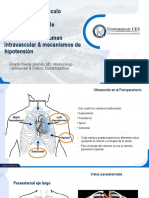 Intravascular volume evaluation through echocardiography