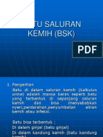 Batu Saluran Kemih BSK