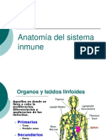 Anatomia Del Sistema Inmune1