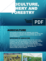 Agriculture, Fishery and Forestry