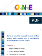 Bone