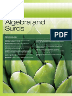 Chapter 2. Algebra and Surds.pdf