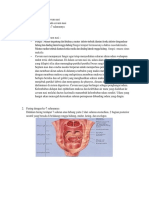 Fungsi Meatus Dan Cavum Nasi