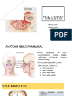 SINUSITIS PANDUAN