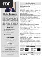 Modelo de CV 02.docx