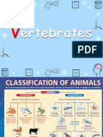 Mammals and Birds (Year 3) (1) - Compressed