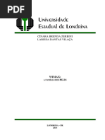 Trabalho Escrito - WiMax