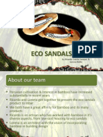 WINNER OF THE SHANGHAI WORLD EXPO 2010 - INTERNATIONAL BAMBOO PRODUCT IDEAS COMPETITION - 1st Prize in The Clothing Category - ECO SANDALS by Ricardo Garcia Garayar