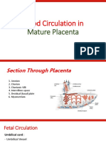 Blood Circulation in Mature Placenta