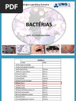 AULA 1 Bacterias