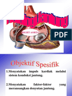 Fiisiologi Jantung (A)