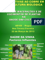 MACERAÇÕES E COZIMENTOS DE PLANTAS.pdf