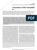 Diversity and Dynamics of The Drosophila