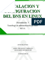 Manual de DNS en Linux