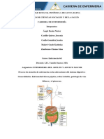 Anatomía Del Sistema Digestivo