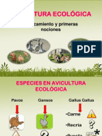 AVICULTURA_ECOLOGICA.pdf