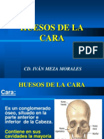 265352295-HUESOS-DE-LA-CARA-ppt.ppt