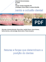 Forças oclusais e alinhamento dentário