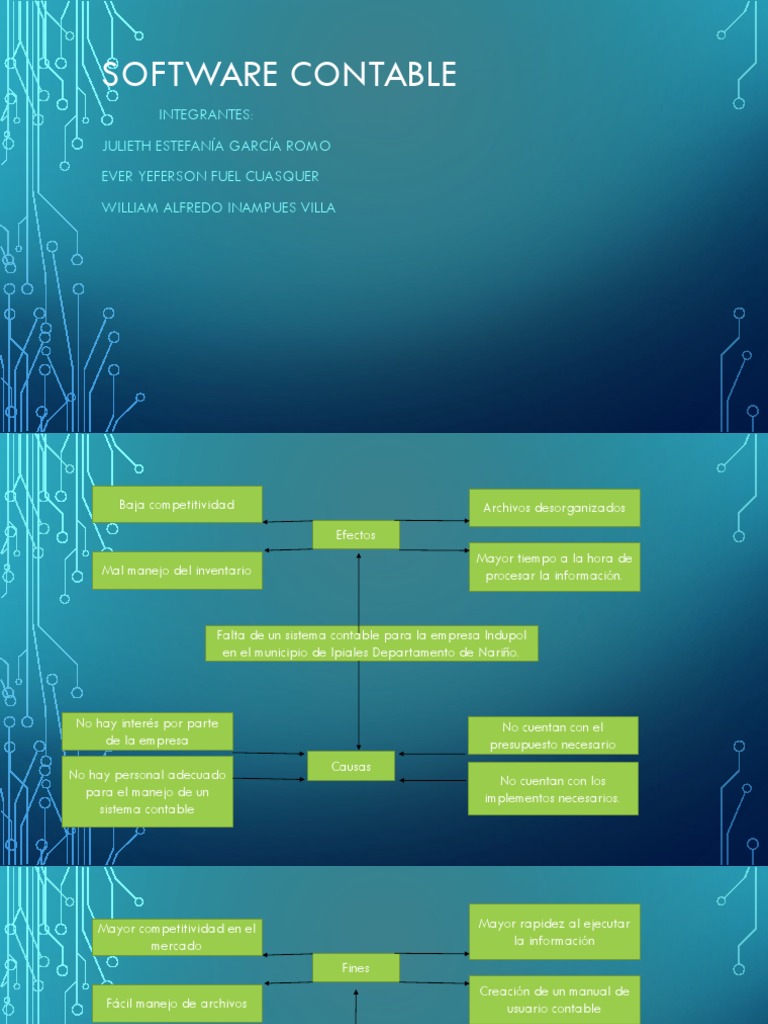 Software Contable para Indupol | PDF