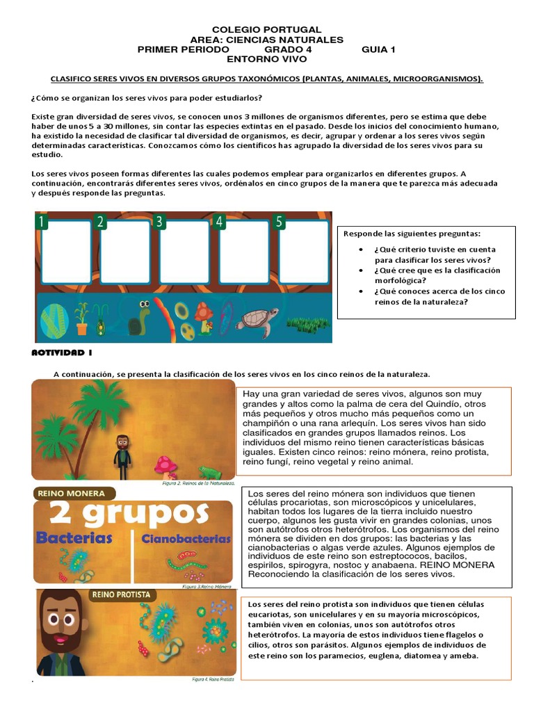 Clasificación de Seres Vivos para 4to Grado | PDF | Ecosistema | Desierto