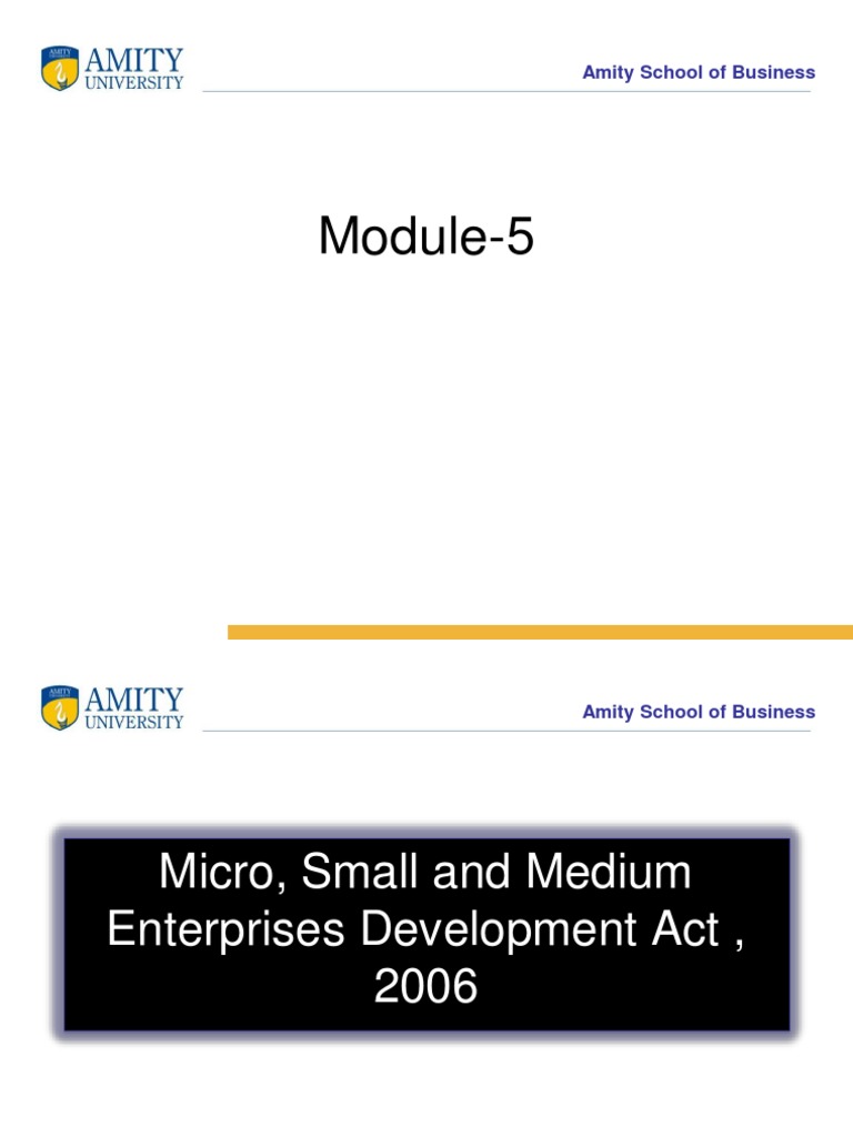 Module-5: Amity School of Business | PDF | Entrepreneurship | Small And ...
