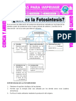 FOTOSINTESIS.pdf